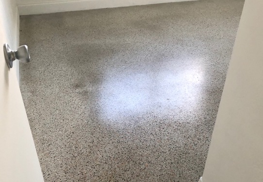 Terrazzo Floor Restoration