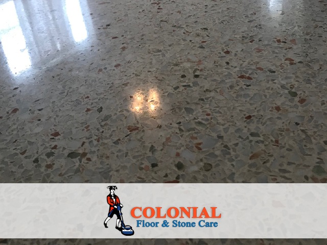 Terrazzo Floor Polishing