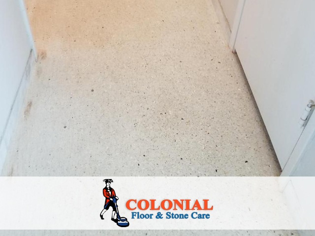 Terrazzo Restoration