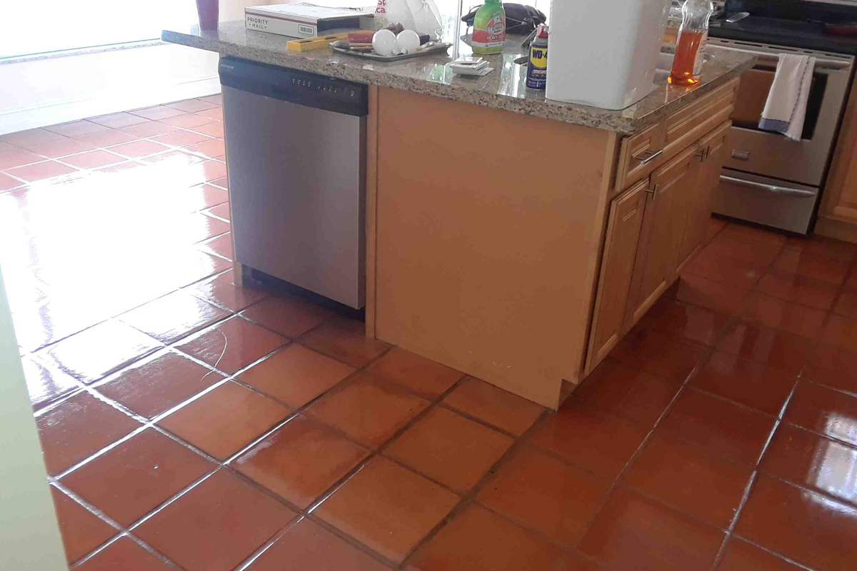 Tile Clean and Polishing