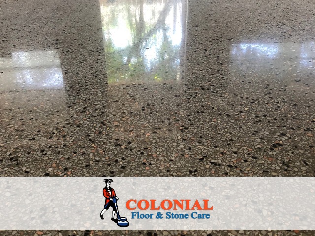 Terrazzo Care Polishing