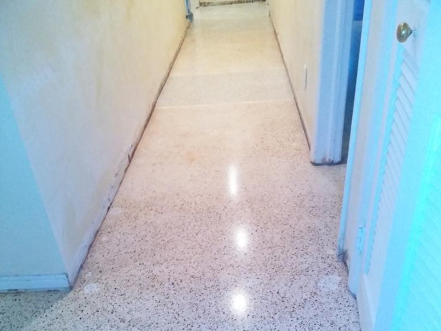 Terrazzo Restore