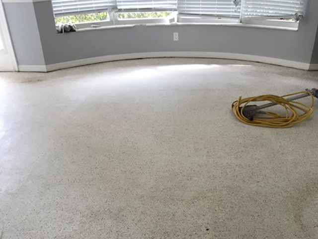 Terrazzo Restoring